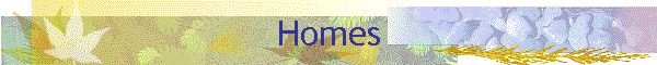 Homes